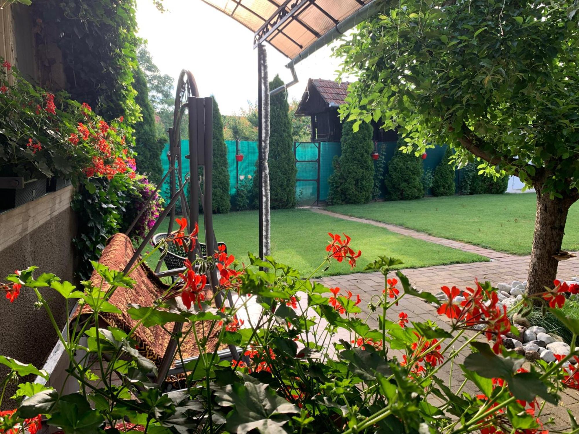 Casa Lui Mosu Villa อัลบายูเลีย ภายนอก รูปภาพ